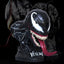 Anti-Hero Venom Bust