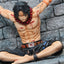 One Piece Portgas D. Ace In Prison  Figures