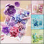 Creative Simulation Flower Photo Frame Building Blocks